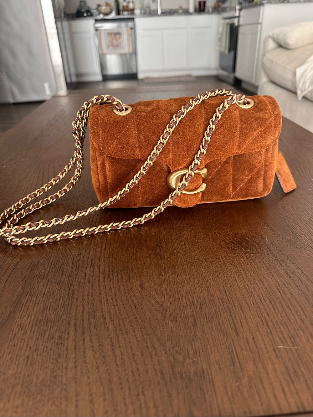 Coach Suede Quilted Chain Shoulder Bag in Rust